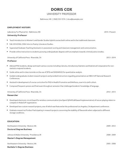 University Professor Resume