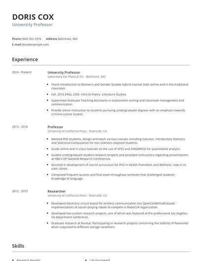 University Professor Resume