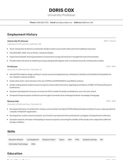 University Professor Resume