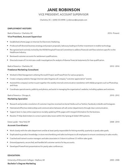 Vice President, Account Supervisor Resume