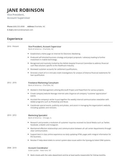 Vice President, Account Supervisor Resume