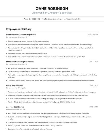 Vice President, Account Supervisor Resume