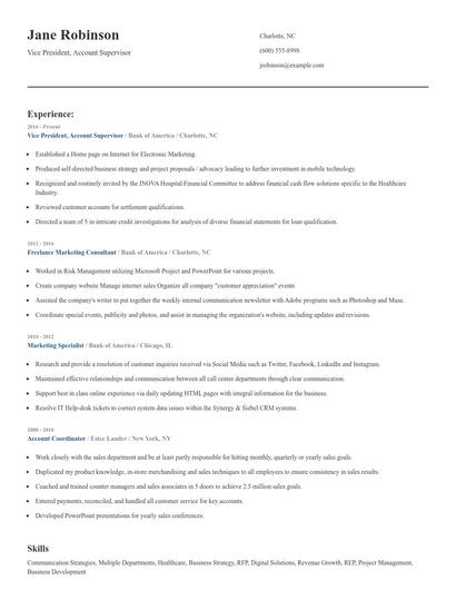 Vice President, Account Supervisor Resume