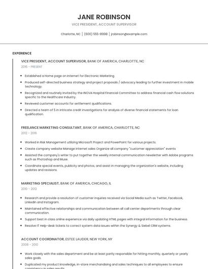 Vice President, Account Supervisor Resume