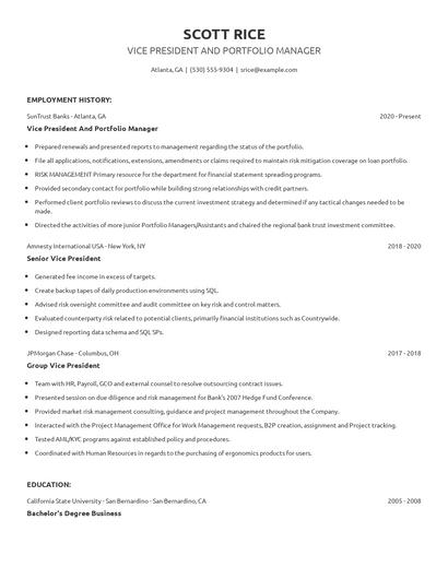 Vice President And Portfolio Manager Resume