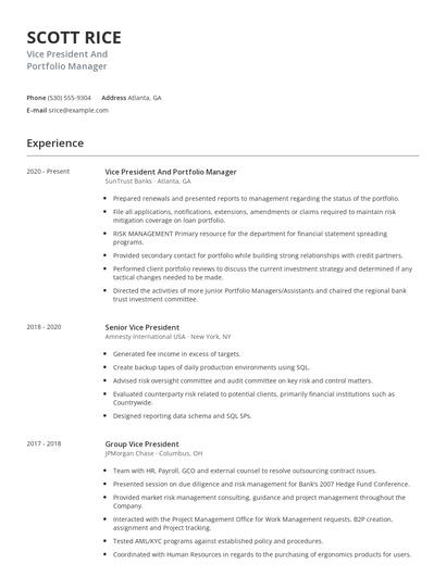 Vice President And Portfolio Manager Resume