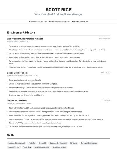 Vice President And Portfolio Manager Resume