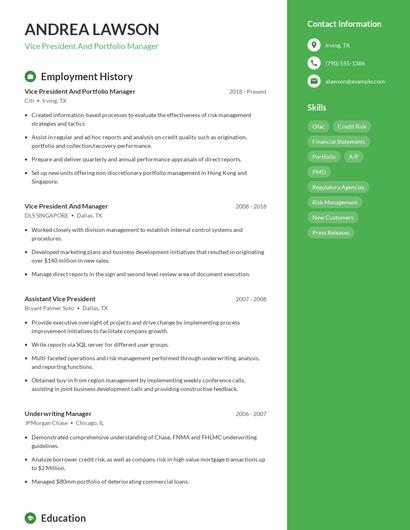 Vice President And Portfolio Manager Resume