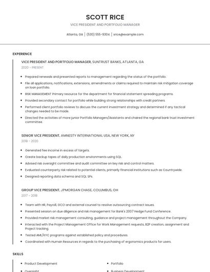 Vice President And Portfolio Manager Resume
