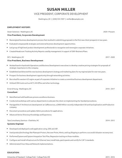 Vice President, Corporate Development Resume