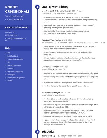 Vice President Of Communication Resume