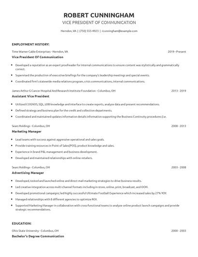 Vice President Of Communication Resume