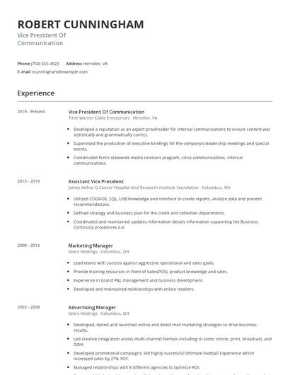Vice President Of Communication Resume