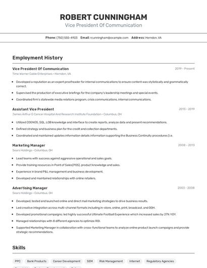 Vice President Of Communication Resume