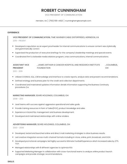 Vice President Of Communication Resume