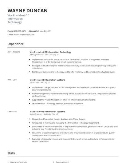 Vice President Of Information Technology Resume