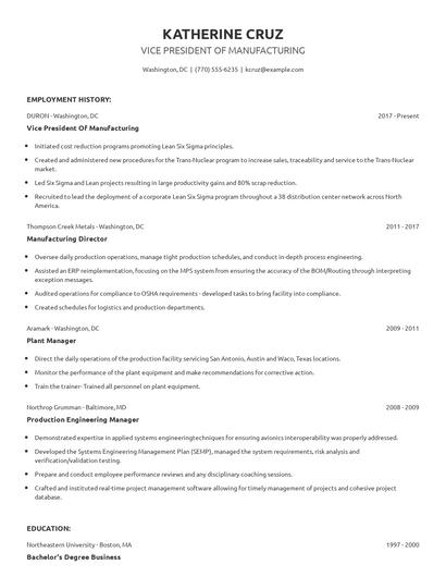 Vice President Of Manufacturing Resume