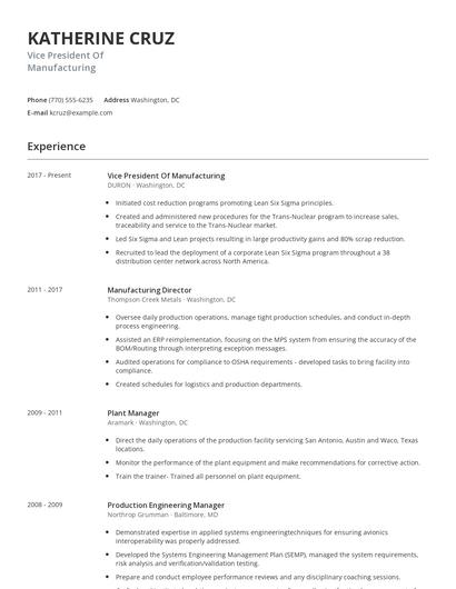 Vice President Of Manufacturing Resume