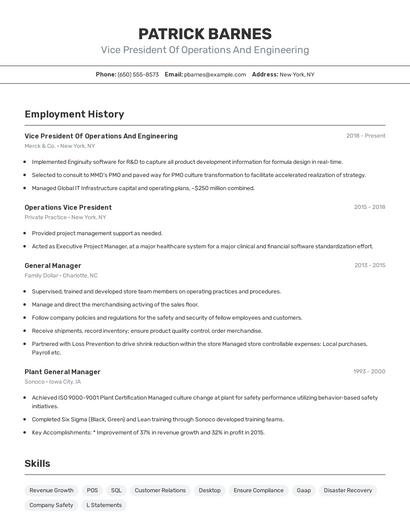 Vice President Of Operations And Engineering Resume