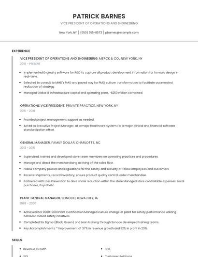 Vice President Of Operations And Engineering Resume