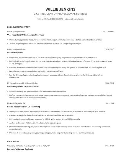 Vice President Of Professional Services Resume