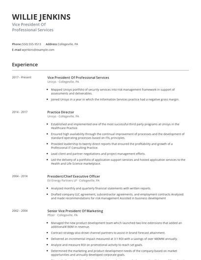 Vice President Of Professional Services Resume