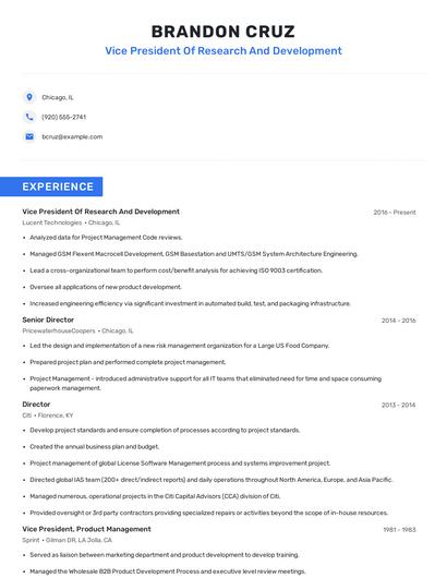 Vice President Of Research And Development Resume