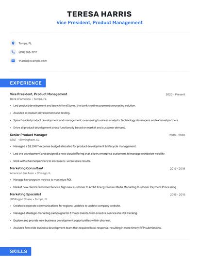Vice President, Product Management Resume