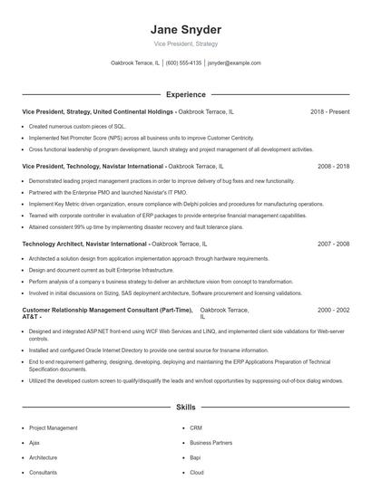 Vice President, Strategy Resume