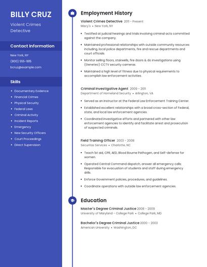 Violent Crimes Detective Resume