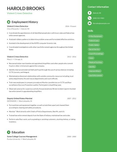 Violent Crimes Detective Resume
