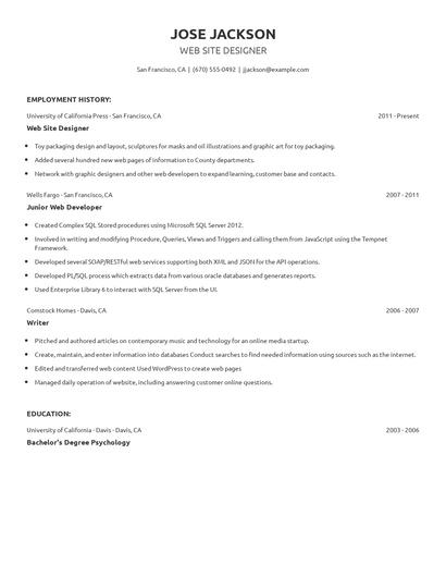 Web Site Designer Resume