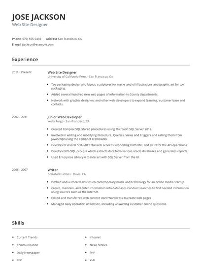Web Site Designer Resume