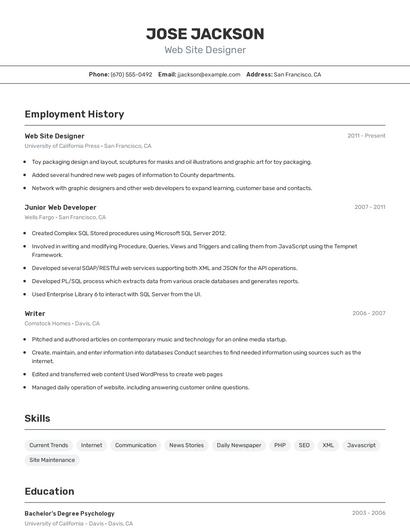 Web Site Designer Resume