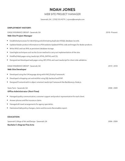 Web Site Project Manager Resume