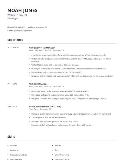 Web Site Project Manager Resume