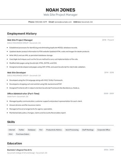 Web Site Project Manager Resume