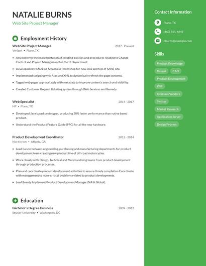 Web Site Project Manager Resume