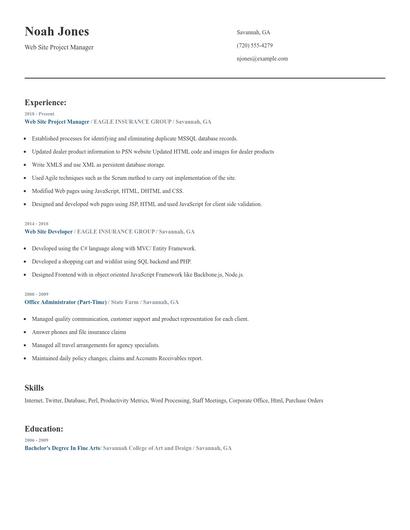 Web Site Project Manager Resume