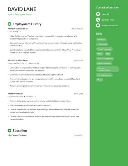 Word Processor Lead Resume