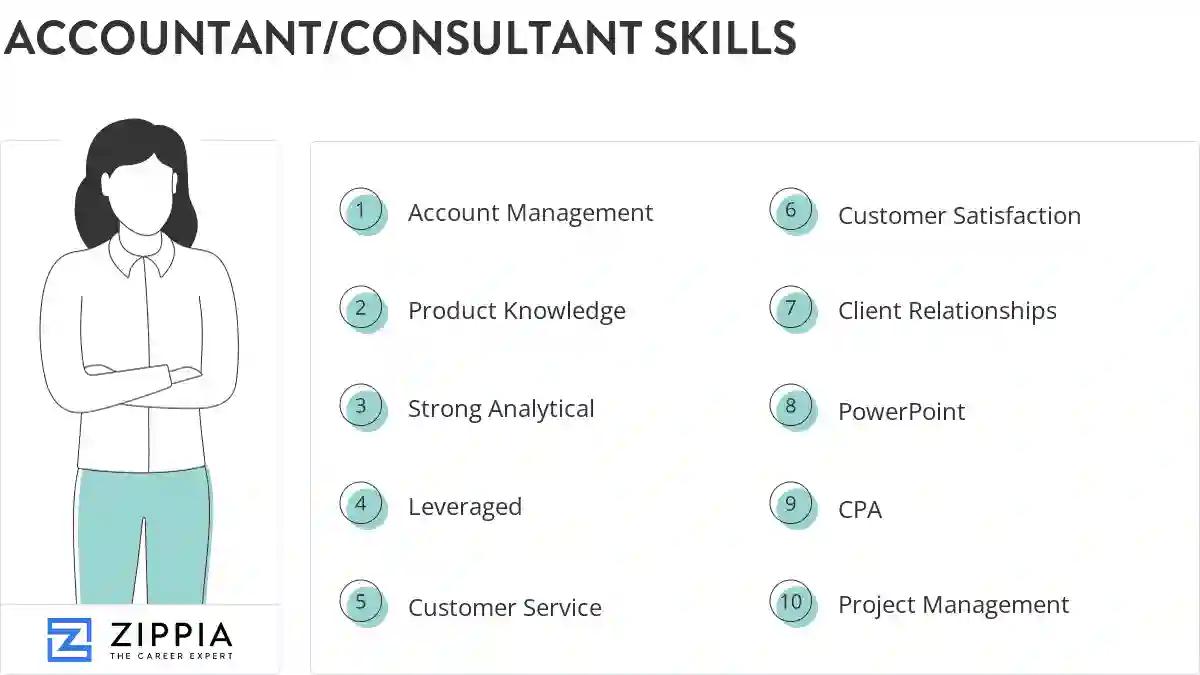 Accountant/consultant skills