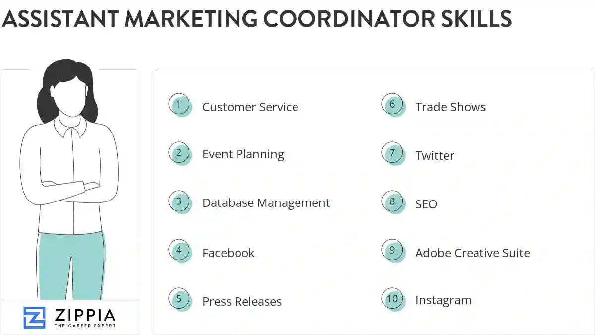 Assistant marketing coordinator skills