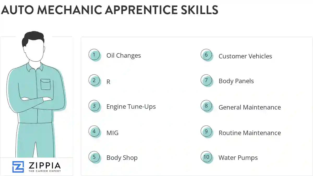 Auto mechanic apprentice skills