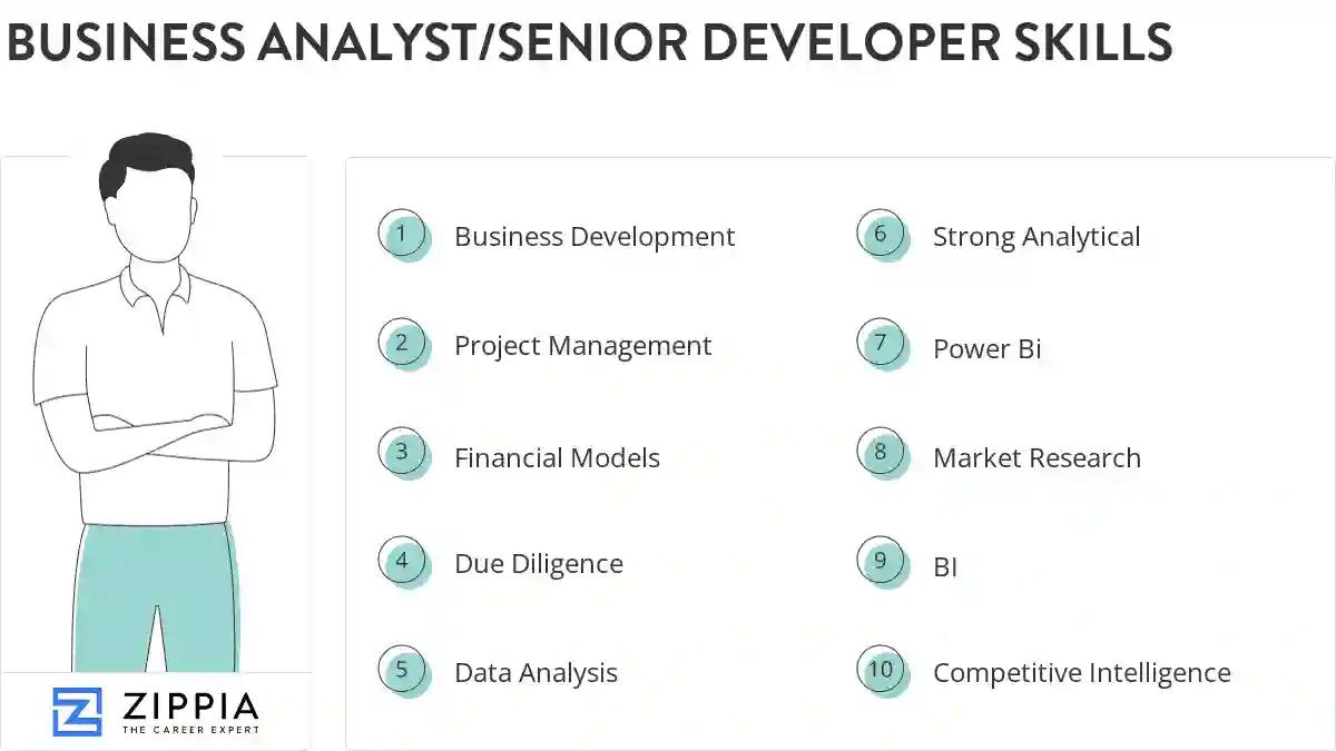 Business analyst/senior developer skills