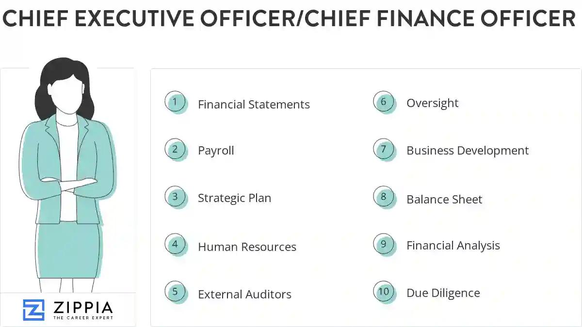 Chief executive officer/chief finance officer skills