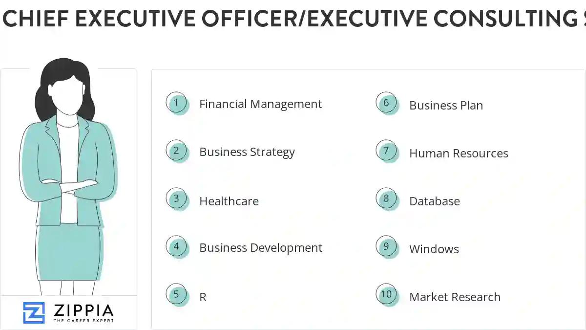 Chief executive officer/executive consulting skills
