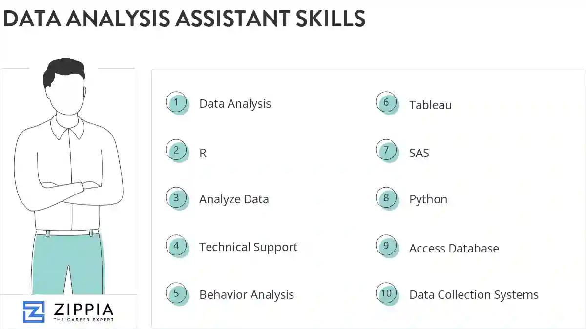 Data analysis assistant skills