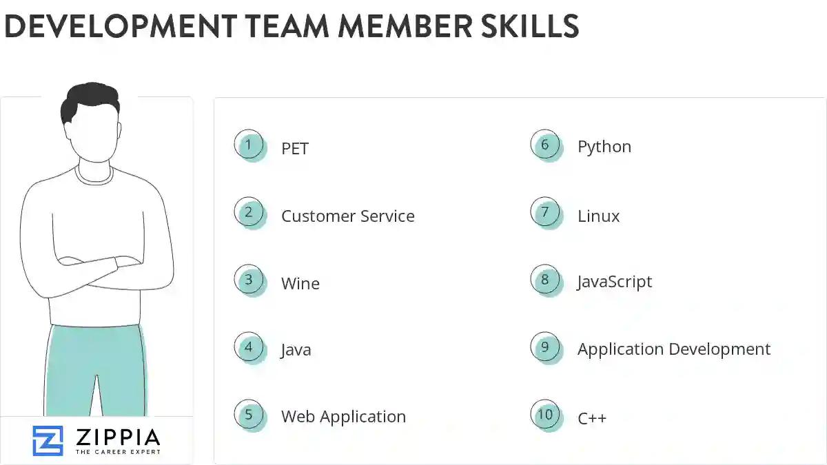 Development team member skills