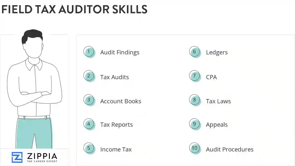 Field tax auditor skills