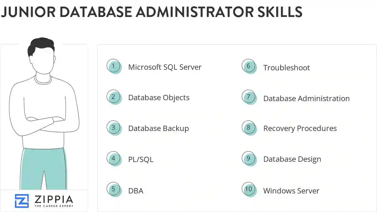 Junior database administrator skills